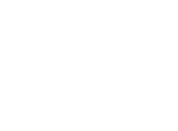 Icowi Icon